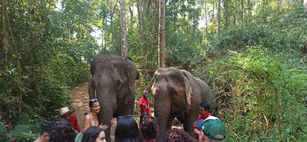 visitando Chiang Mai visitando Chiang Mai