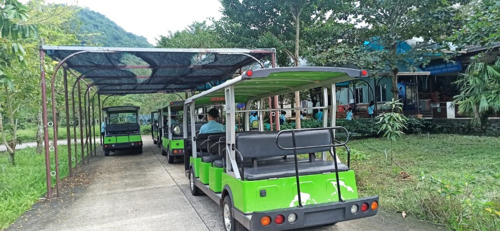 el santuario de Mỹ Sơn. el santuario de Mỹ Sơn.
