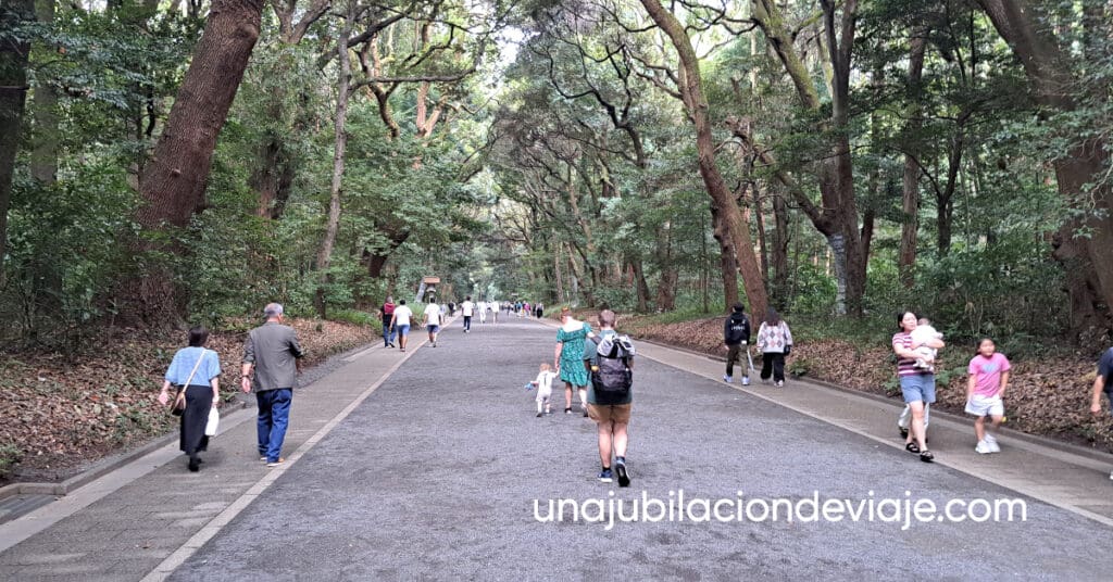 Que ver en Shibuya Que ver en Shibuya