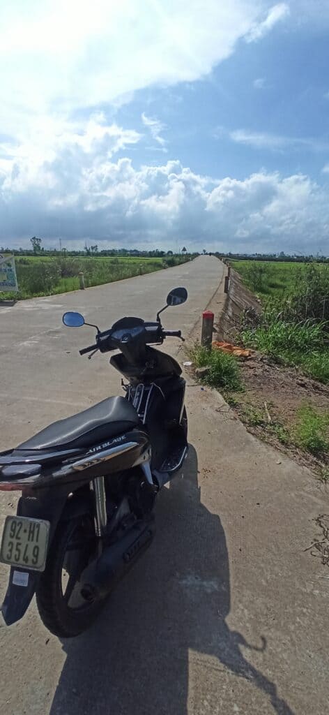 el santuario de Mỹ Sơn. el santuario de Mỹ Sơn.