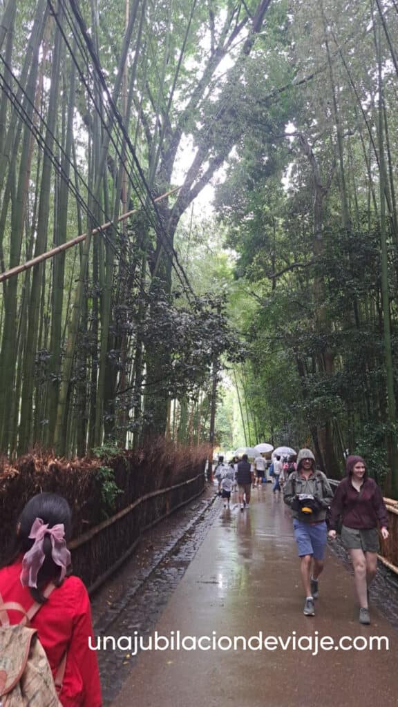 Qué ver y hacer en Kioto Qué ver y hacer en Kioto